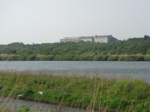 坂東太郎