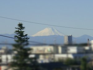 富士山 富士山