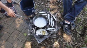 BBQ